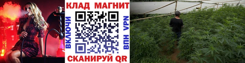 Названия наркотиков Заводоуковск МАРИХУАНА  A PVP  Гашиш  Меф 