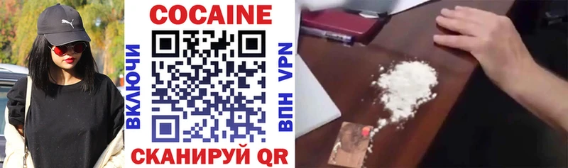 Cocaine FishScale  Заводоуковск 