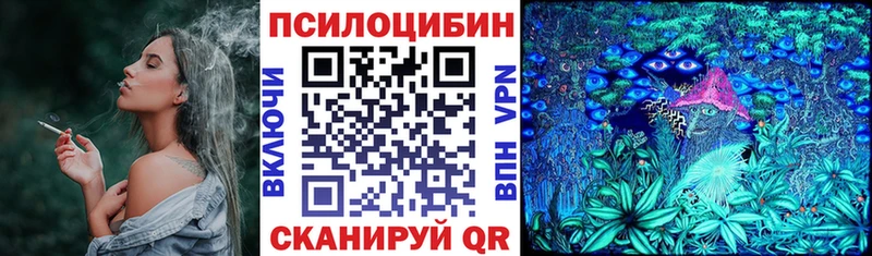 Галлюциногенные грибы Magic Shrooms  Заводоуковск 