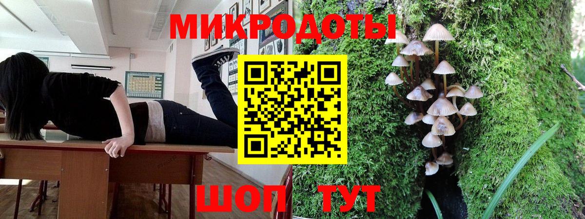 Галлюциногенные грибы мицелий Заводоуковск
