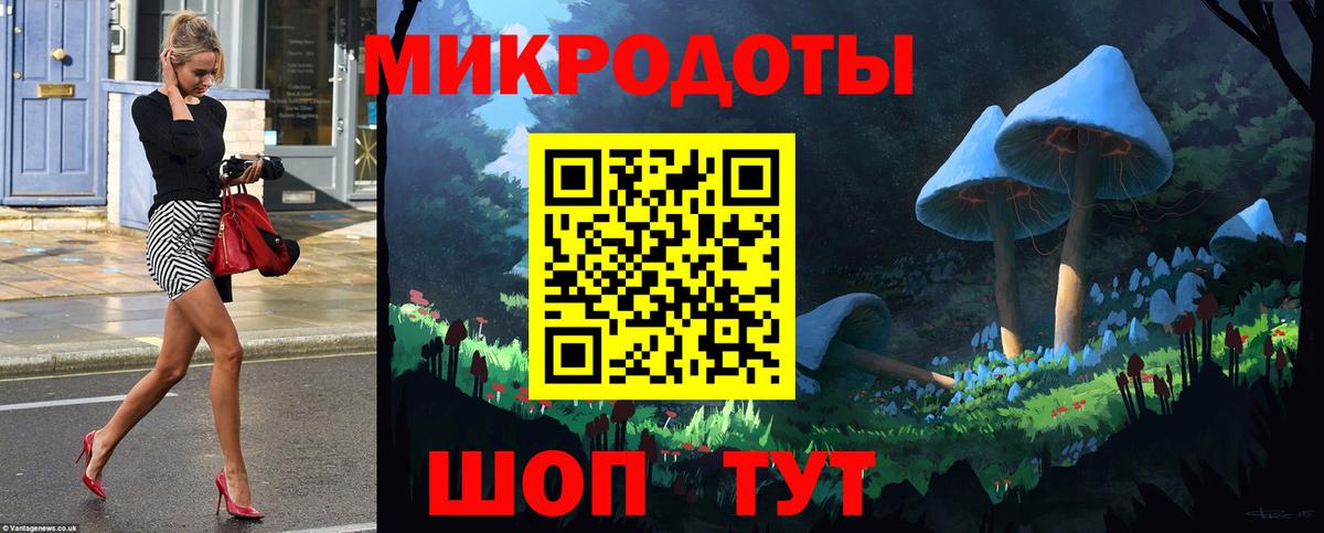 Галлюциногенные грибы Psilocybe Заводоуковск